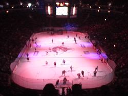 Rink